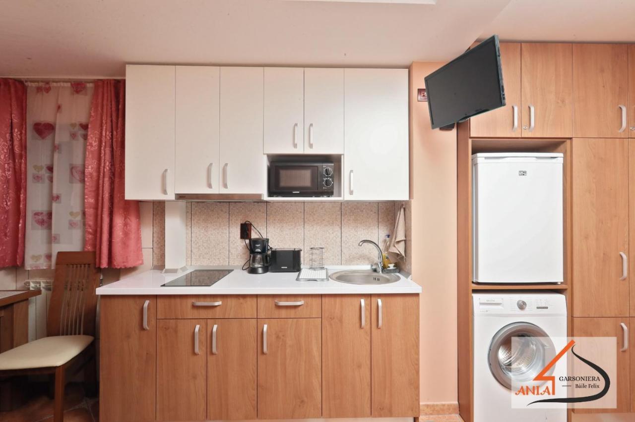 Apartmán Garsoniera Ania Băile Felix Exteriér fotografie